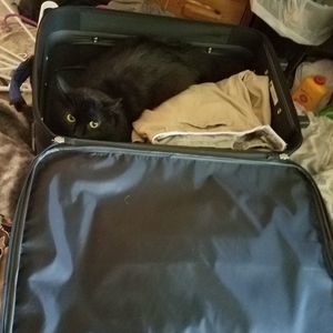 Meet your Posher, Sara